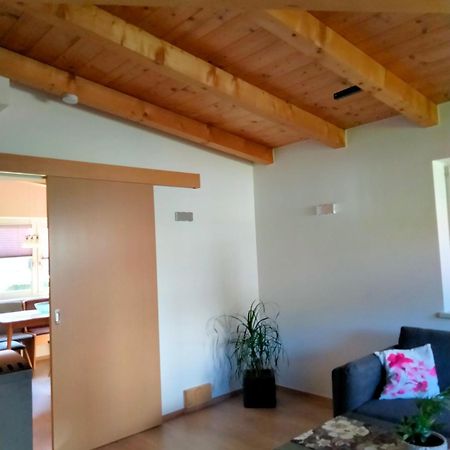 Ferienwohnung Trixi Hollersbach im Pinzgau Exterior foto